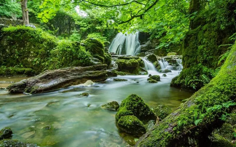 高标准精密
